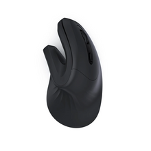 Afbeelding in Gallery-weergave laden, Jelly Comb ergonomische muis met BT