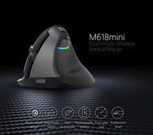 Afbeelding in Gallery-weergave laden, Delux M618mini ergo muis
