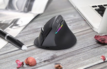 Afbeelding in Gallery-weergave laden, Delux M618mini ergo muis
